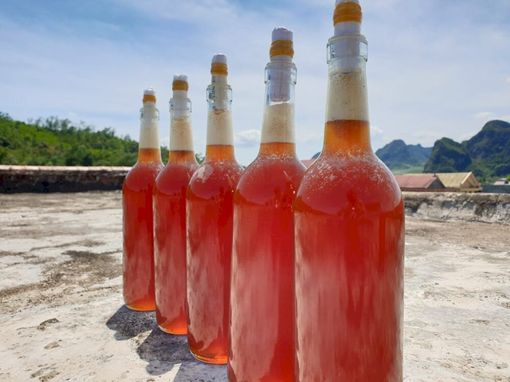 Đặc sản mật ong rừng Quảng Bình